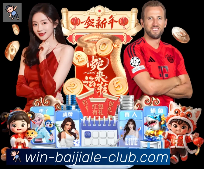 未来规划
